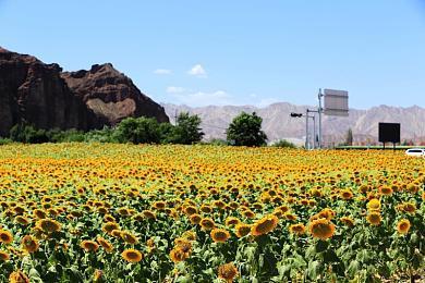 「太依赖咒术的我未来堪忧。」全年龄版现已于STEAM平台正式上市 & 官方微博正式开设！